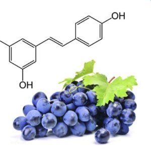 Resveratrol naturel